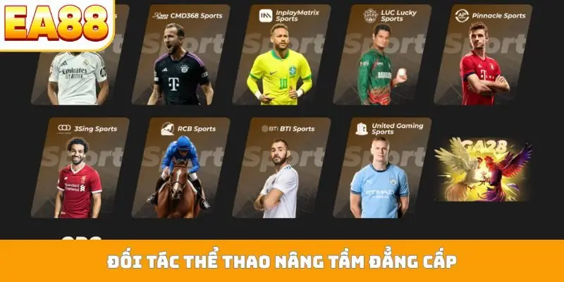 Đối tác thể thao nâng tầm đẳng cấp