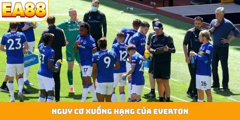 Nguy cơ xuống hạng của Everton