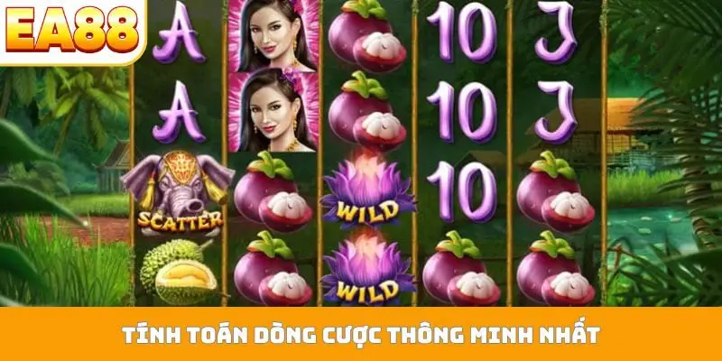 Tính toán dòng cược thông minh nhất